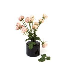 White roses in black vase isolated on a white background