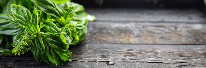 basil fresh juicy green petals aromatic seasoning raw fresh portion ready to eat meal snack on the table copy space food background rustic. top view