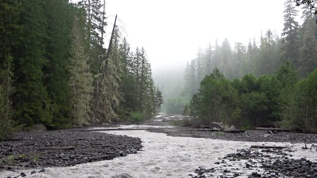 The landscape of the Nisqually River in the Mount Rainier National Park, Washington 
