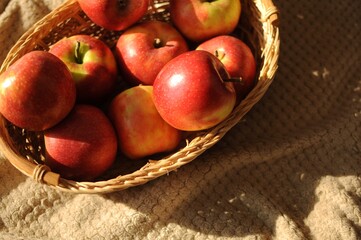 Harvest in a straw basket with many red ripe apples on draperied bedcover.