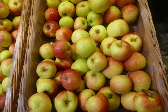 Frehs authentic Gala Royal apples on Food market. 