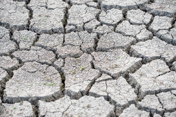 dry cracked earth