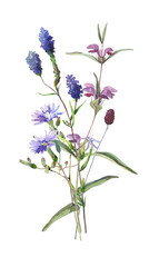 Naklejka premium Watercolor bouquet of blue and purple forest flowers