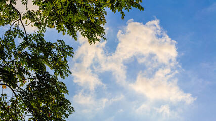 Beautiful spring scene foliage and clouds, nature background with vibrant colors