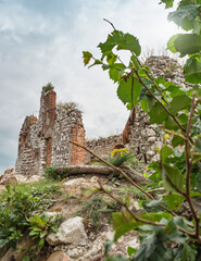 Ruin of Devicky castle on the hill Devin above Pavlov and Dolni Vestonice