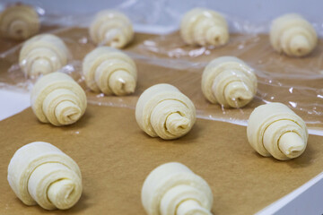 Croissants formed from raw dough lie on baking paper before being sent to the oven. Handmade pastry baking process
