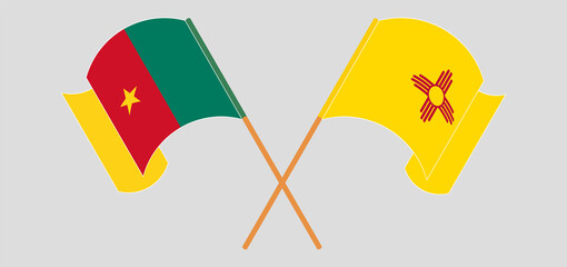 Crossed and waving flags of Cameroon and the State of New Mexico