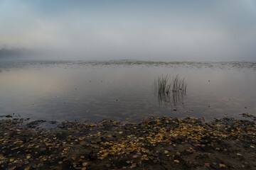 fog on the river
