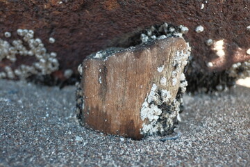 ice on the beach © Jens