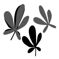 Modern isolated stylized design with abstract black and white flower