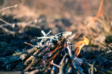 Small fire in nature, close view