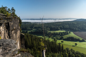 Morgenstimmung mit Nebel im Elbsandsteingebirge