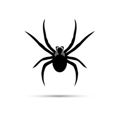 The icon of a large spider is black on a white background.