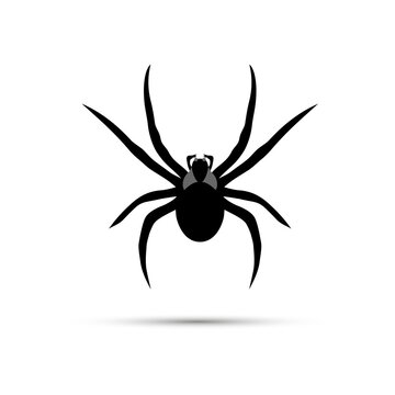 The icon of a large spider is black on a white background.