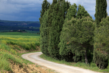 Dirt road in Val d'Orcia, Tuscany, Italy