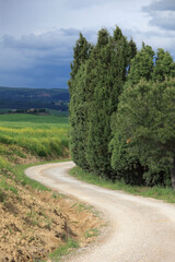 Dirt road in Val d'Orcia, Tuscany, Italy