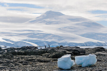 Antarctic landscape with iceberg