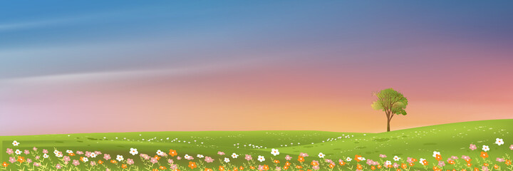 Spring rural landscape with morning sky and single tree on green grass fields,Natural farmland with wild flowers and meadow with colourful sunset in evening,Vector horizon banner on spring or summer