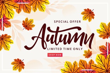 flat autumn sale background vector design illustration