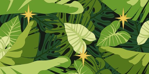 Banner with tropical leaves. Monstera, philodendron and banana leaves on a dark background with small lights in the rainforest.  © Анастасія Маленко