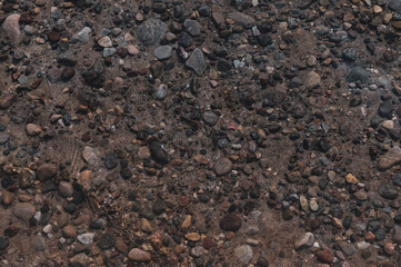 soil in the ground