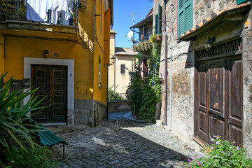 A narrow street in Nemi, a medieval town overlooking a lake in the province of Rome, Italy.