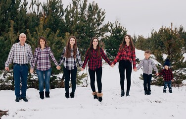 Large family. Family of seven people. Big family in checkered cups in the winter forest. Festive Christmas mood. Christmas clothes. Family outfit
