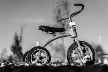 Toy tricycle in sunlight on floor with dry leaves, black and white with blurred landscape in the...