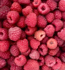 background of raspberries