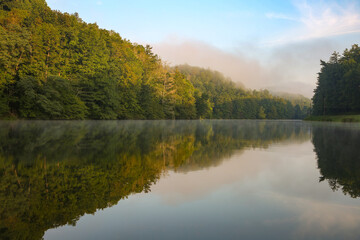 Fototapeta na wymiar Evergreen trees and misty sky reflecting on still lake 