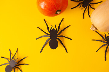 Halloween holiday concept. spider on orange background. Top view