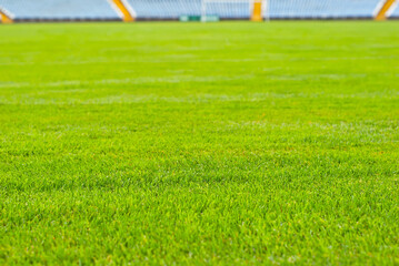 Soccer field texture close up. Grass in the stadium. Finely mown lawn for sports grounds.