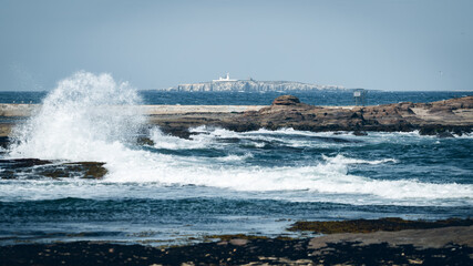Farne Islands From Seahouses Harbour