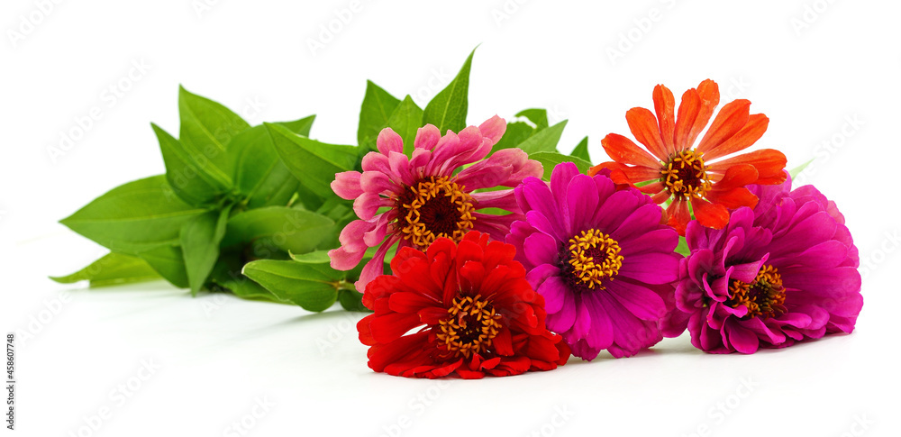 Sticker bouquet of zinnia flowers