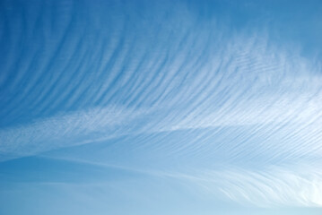 Obraz premium Heap white clouds in a clear blue sky.