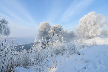 Majestic winter scenery with trees, river, heavy hoarfrost and sun on the frosty morning. Winter sunrise.