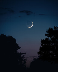 Fototapeta na wymiar Crescent moon over the trees