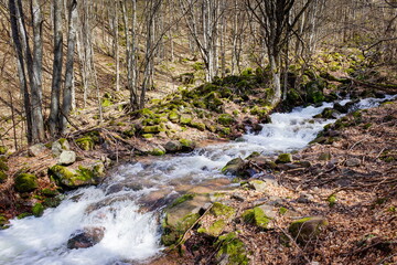 Beautiful, colorful mountain creek cascading through the thick forest on Old mountain