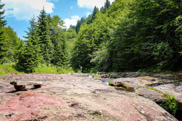 Bench made from a log and two rocks near mountain creek and green forest trees