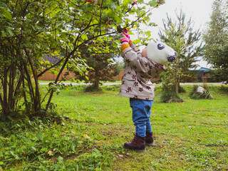 Baby (one year old) picks a red viburnum berry in the garden