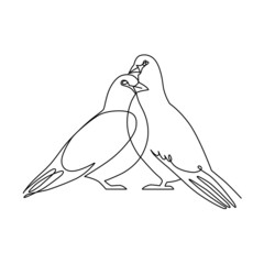 Line art pigeon, bird couple. 
