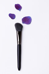 Makeup brush isolated on white background with blue and purple flower petals depicting natural beauty product..