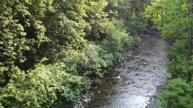 une rivière dans la forêt