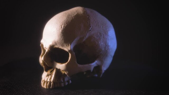 A looped 360-degree video of a human skull on a black background. Without a jaw. Color illumination.