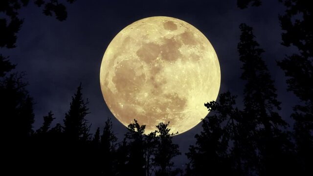 Bright glowing full moon in the sky. Mystery Moonshine. Dark blue night, evening sky. Forest, trees silhouettes on the front. Halloween mood. 3D render. Aerial landscape. Seamless loop 4K animation