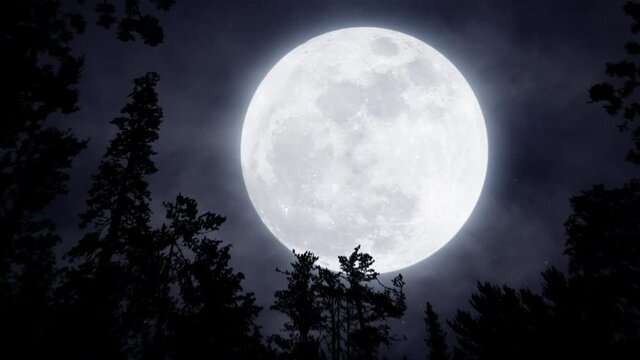 Bright glowing full moon in the sky. Mystery Moonshine. Dark blue night, evening sky. Forest, trees silhouettes on the front. Halloween mood. 3D render. Aerial landscape. Seamless loop 4K animation