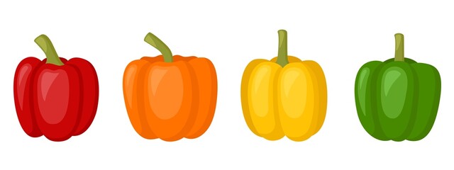 Sweet red, yellow, orange peppers, bell pepper, vector illustration
