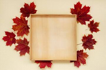 Autumnal composition. Wooden frame made of dried leaves on pastel yellow background. Autumn, fall, thanksgiving day concept. Flat lay, top view, copy space, square