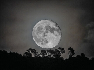 Fototapeta na wymiar Pleine lune se levant au-dessus d'une colline boisée à Nice