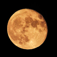 Pleine lune se levant au-dessus d'une colline bois&eacute;e &agrave; Nice